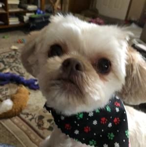 Meet your Posher, Marilyn